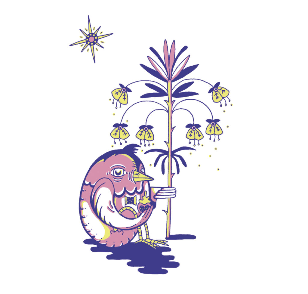 ilustración pájaro a color